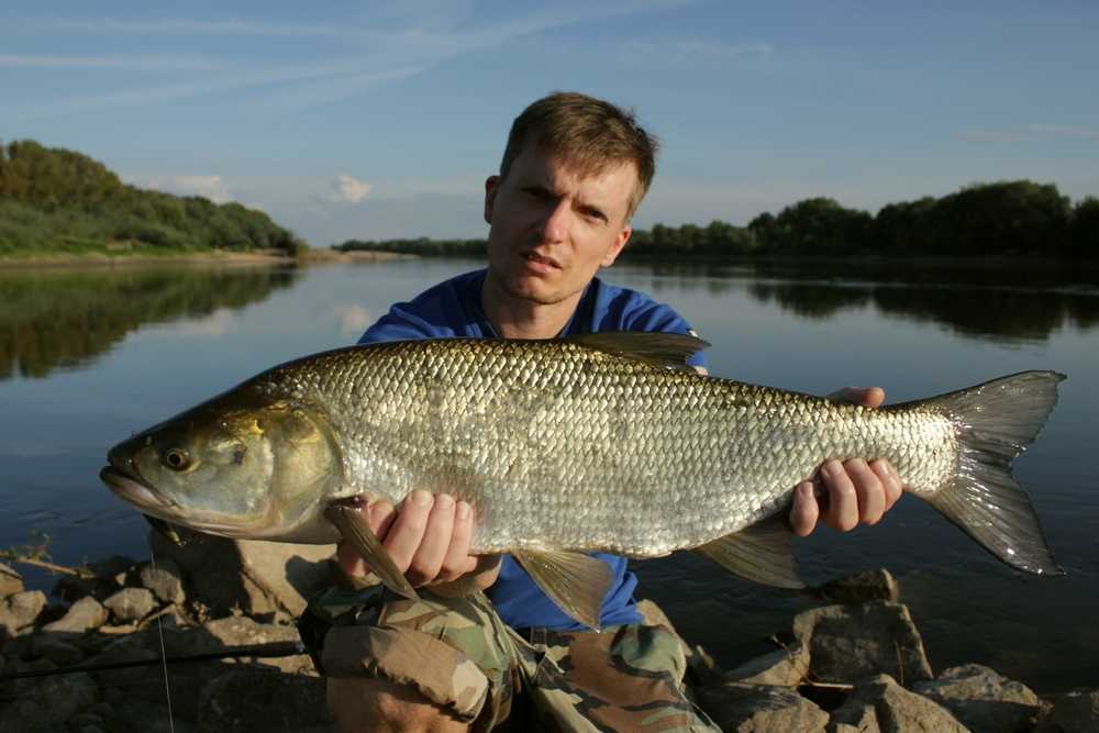 Czas letniej kanikuły